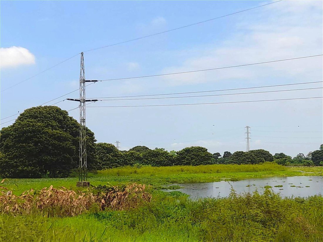 Land in Babahoyo, Los Rios, Ecuador 5 - 18660108