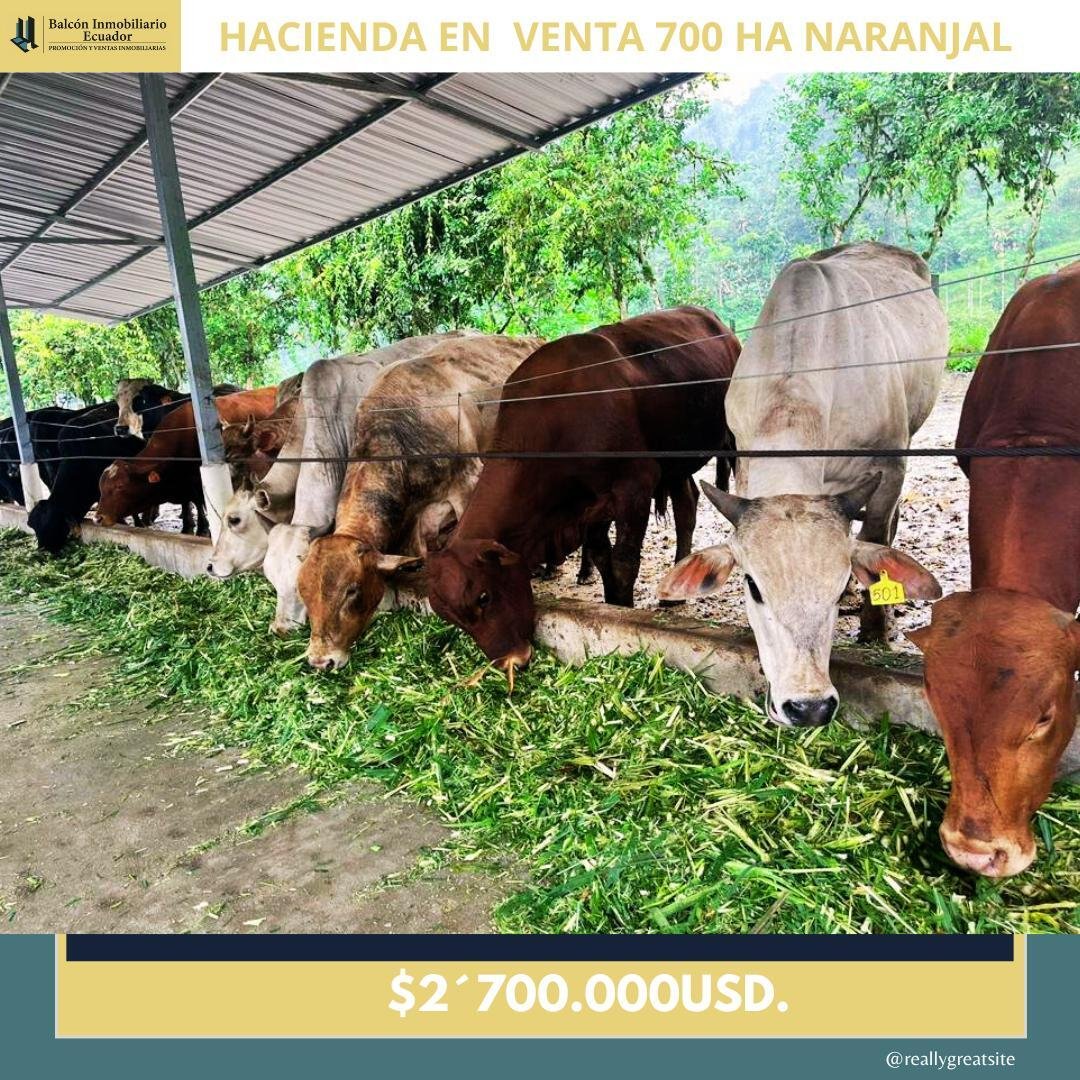 Farm Ranch in Naranjal, Guayas, Ecuador 1 - 18661461
