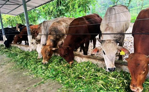 Farm Ranch in Naranjal, Guayas, Ecuador 1