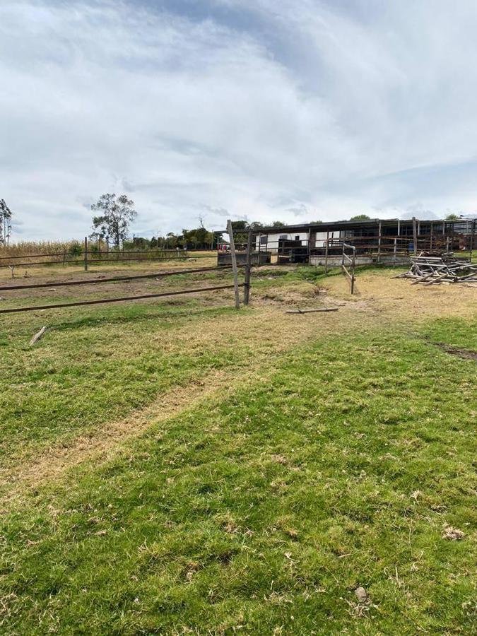 Farm Ranch in Quito, Pichincha, Ecuador 3 - 18661489