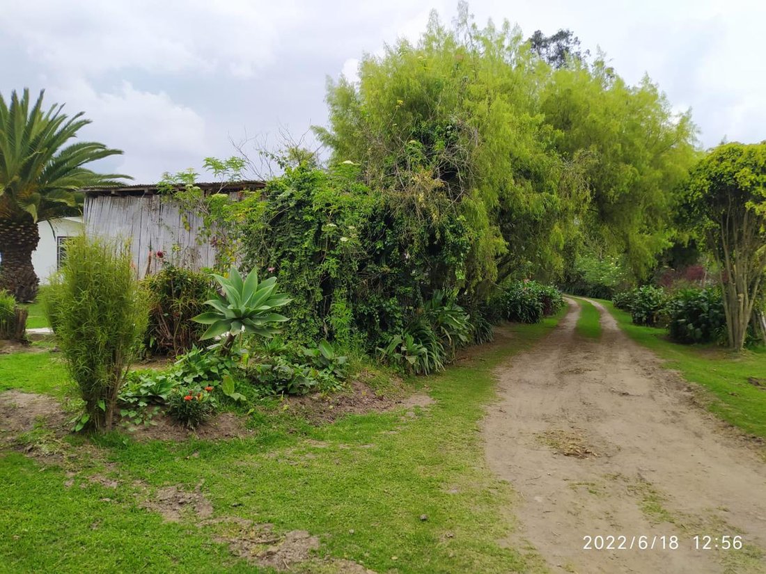 Land in Quito, Pichincha, Ecuador 3 - 18660742