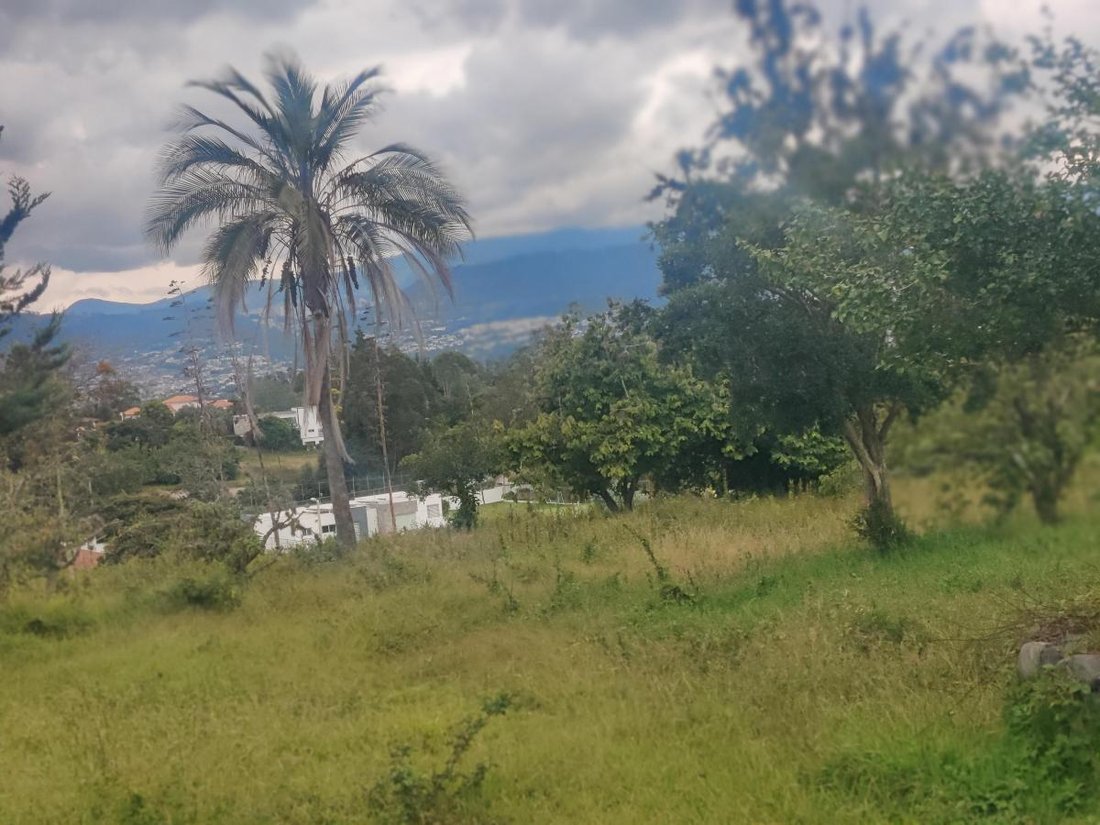 Land in Quito, Pichincha, Ecuador 5 - 18661431