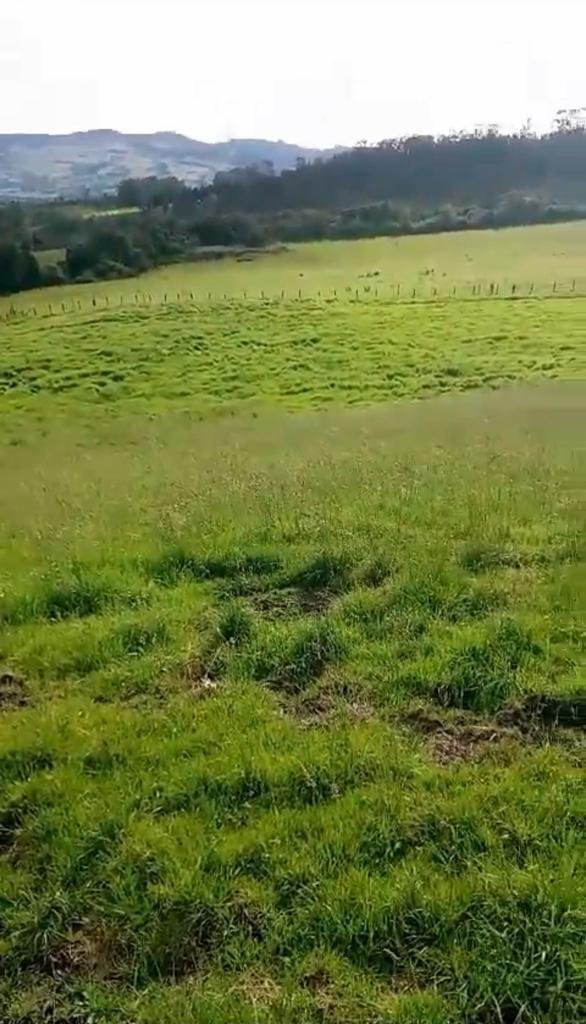 Land in Quito, Pichincha, Ecuador 5 - 18661447