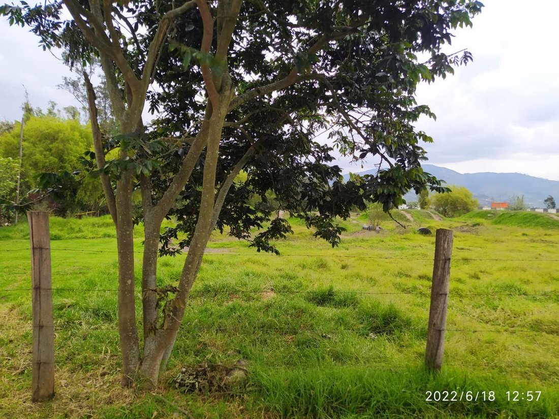 Land in Quito, Pichincha, Ecuador 1 - 18660742