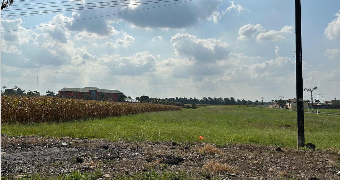 Land in Quevedo, Los Rios, Ecuador 1 - 18660530