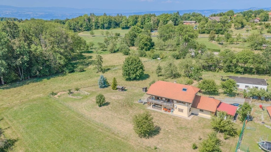Villa in Saint-Paul-en-Chablais, Auvergne-Rhône-Alpes, France 2 - 18670433