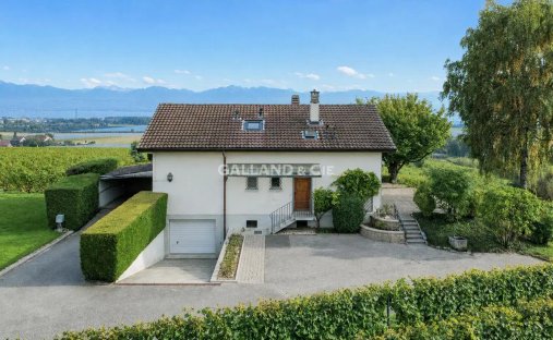 Villa in Lausanne, Vaud, Switzerland 1