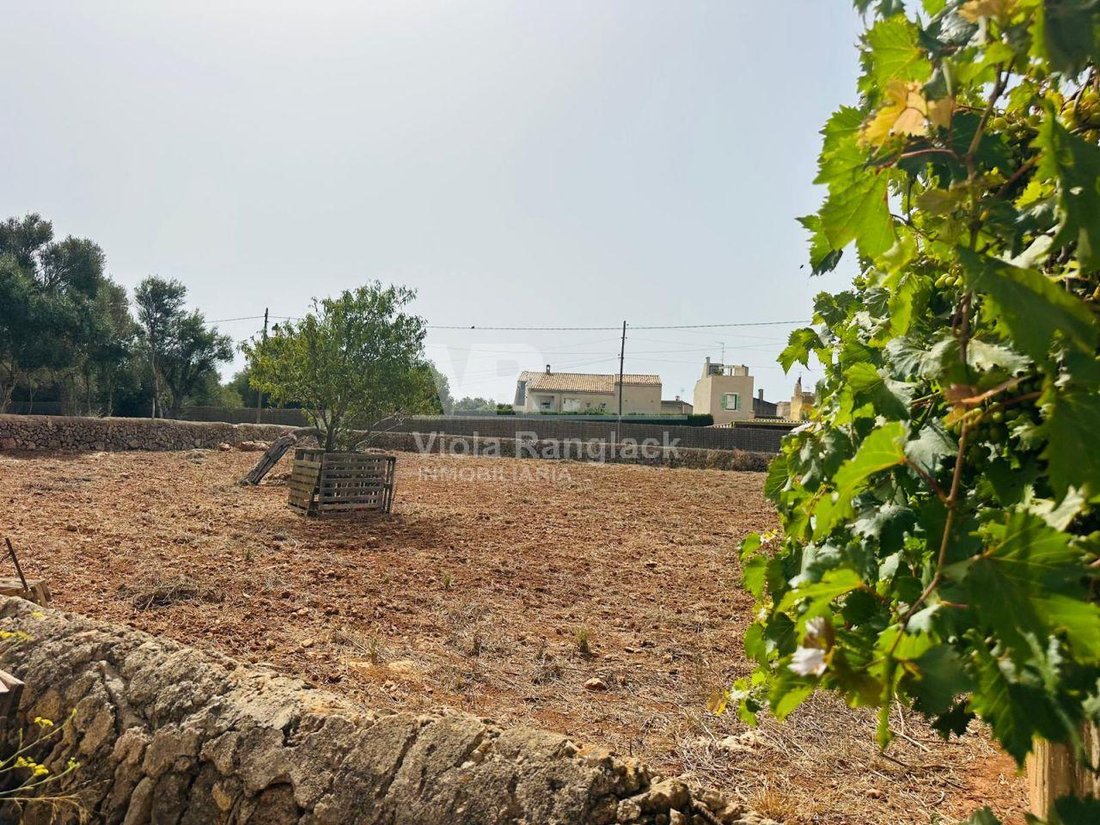 Land in Santanyi, Balearic Islands, Spain 1 - 18667785