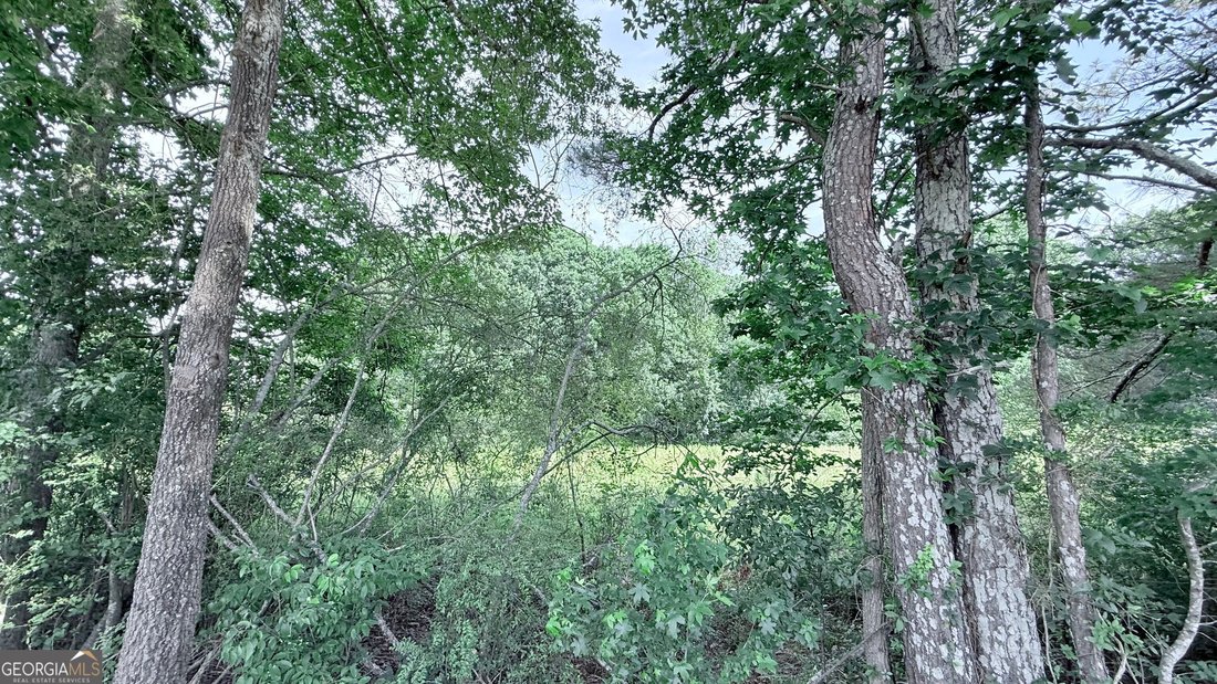 Farm Ranch in Gainesville, Georgia, United States 5 - 18659774