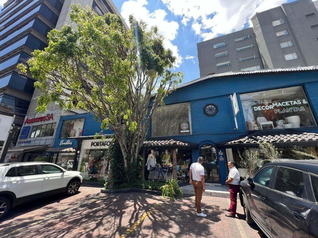 Land in Quito, Pichincha, Ecuador 1 - 18661562