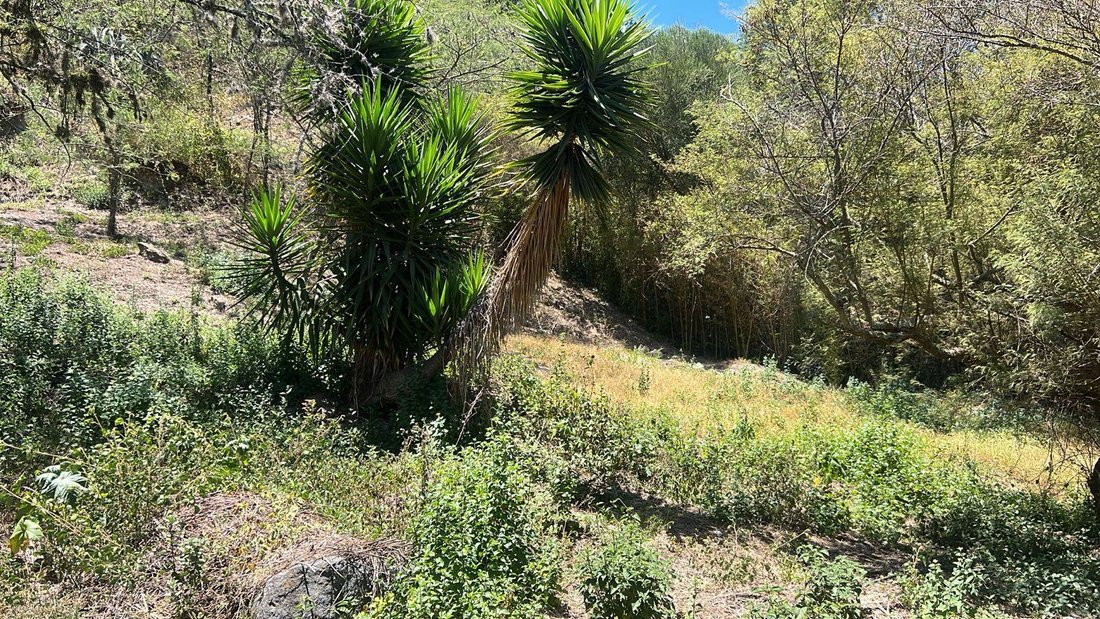 Land in Quito, Pichincha, Ecuador 3 - 18661568