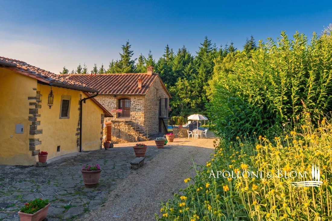 House in Pelago, Tuscany, Italy 5 - 16482112