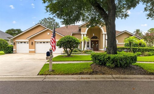House in Valrico, Florida, United States 1