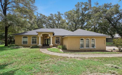 House in Sorrento, Florida, United States 1