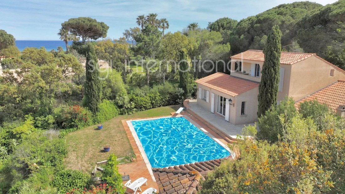House in Ramatuelle, Provence-Alpes-Côte d'Azur, France 3 - 16246979