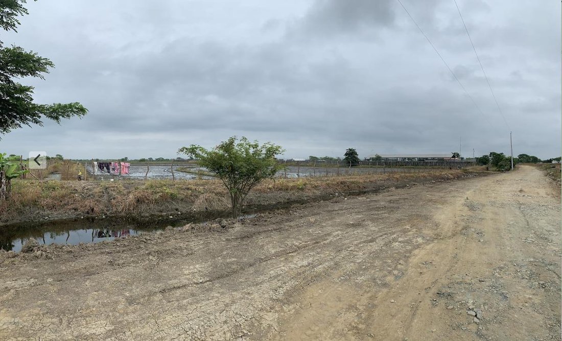 Land in Samborondón, Guayas, Ecuador 5 - 18660424