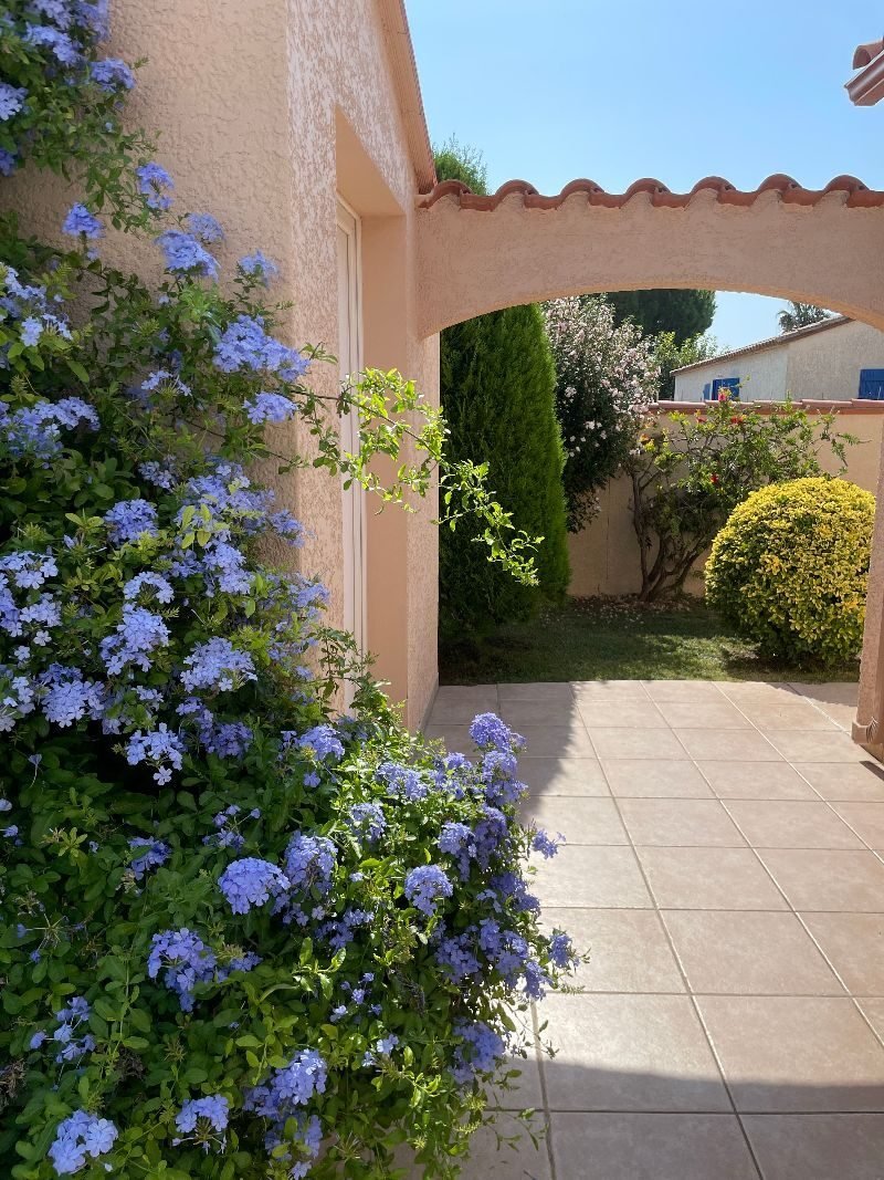 House in Alenya, Occitania, France 5 - 18670426
