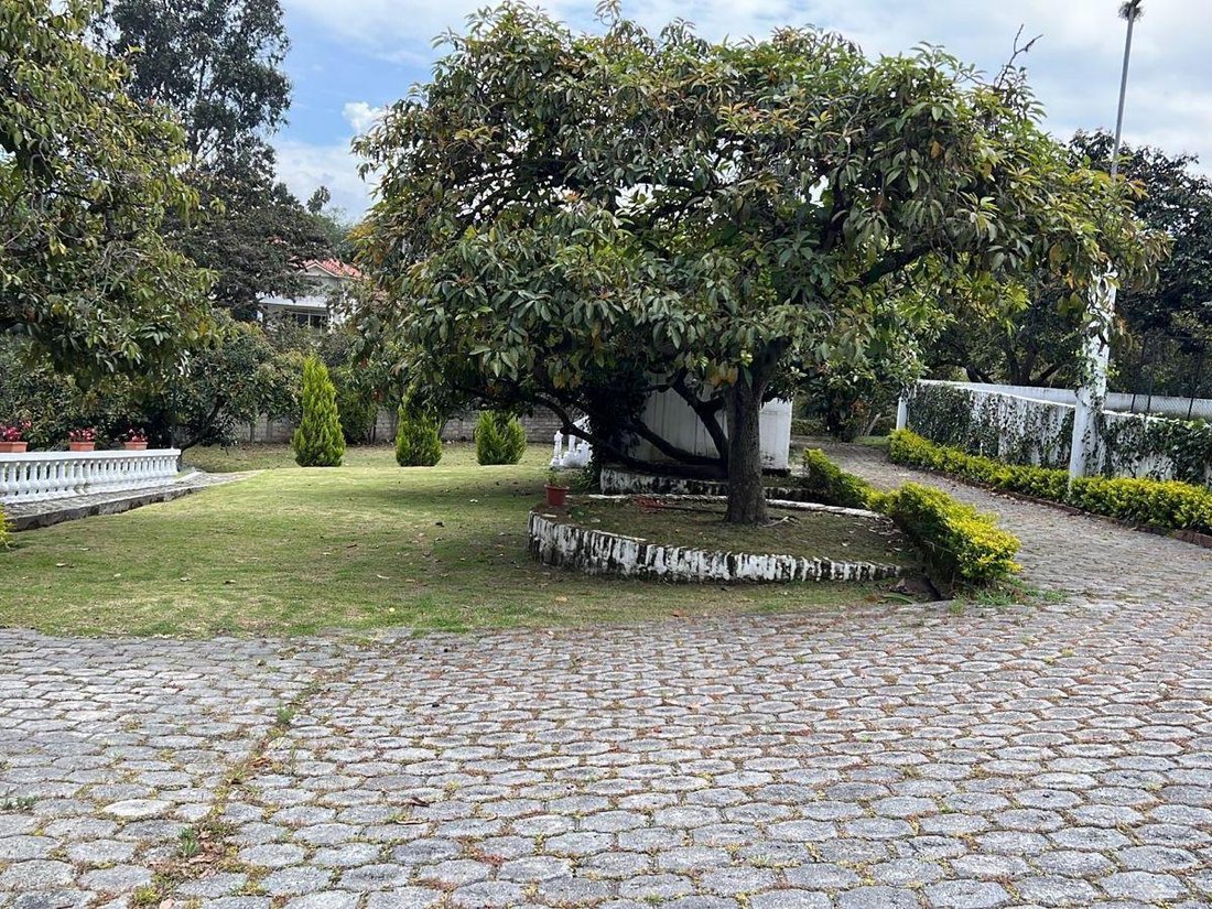 Land in Quito, Pichincha, Ecuador 2 - 18661614