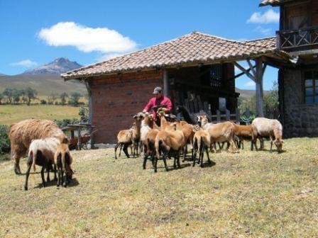 House in Machachi, Pichincha, Ecuador 3 - 18661423