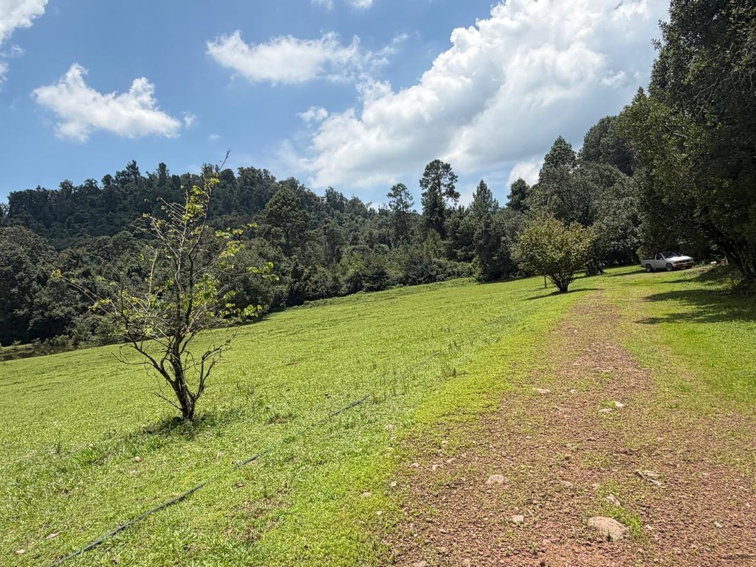 Land in Valle de Bravo, State of Mexico, Mexico 2 - 18672379
