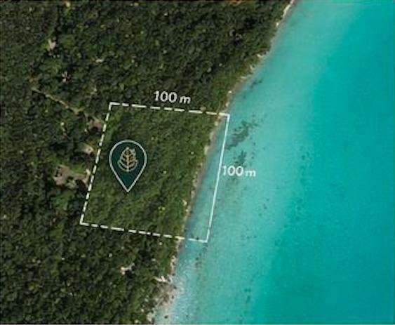 Land in Bacalar, Quintana Roo, Mexico 3 - 18660400