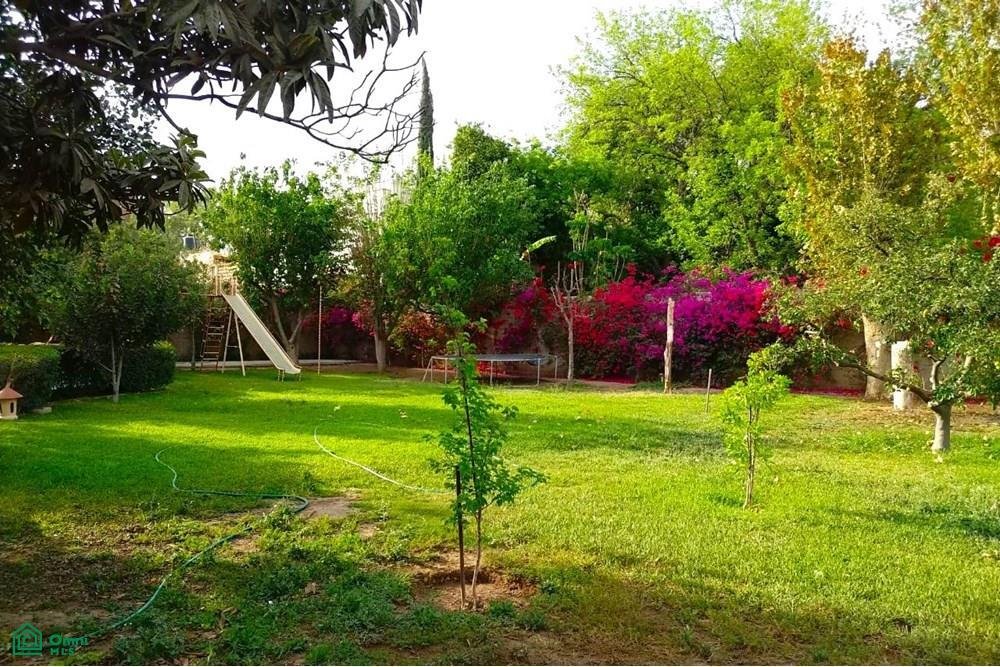 House in Lerdo, Durango, Mexico 4 - 18663083