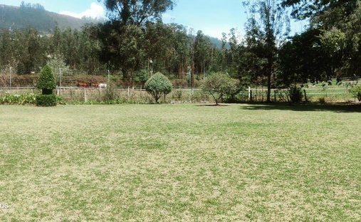 Terrain à Quito, Province de Pichincha, Équateur 1