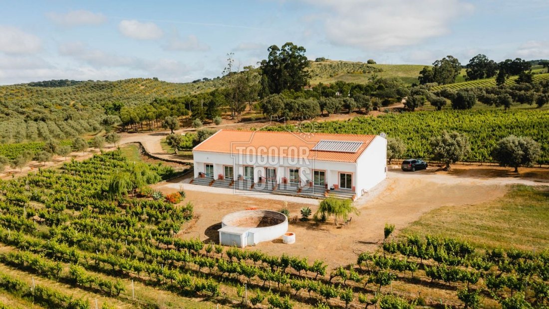 Vila de Frades, Beja District, Portugal 2 - 15176522