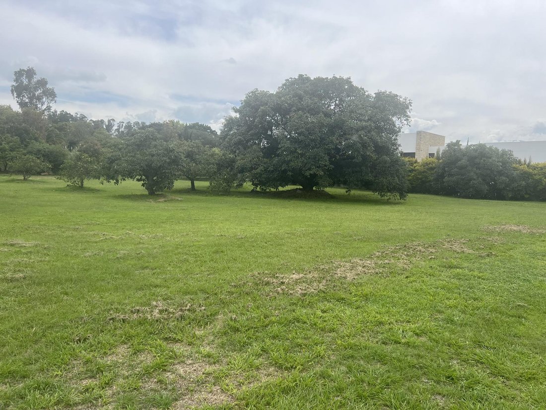 Land in Quito, Pichincha, Ecuador 3 - 18661606