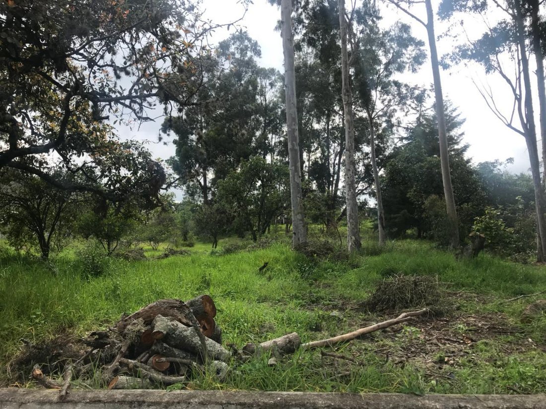 Land in Quito, Pichincha, Ecuador 2 - 18661532