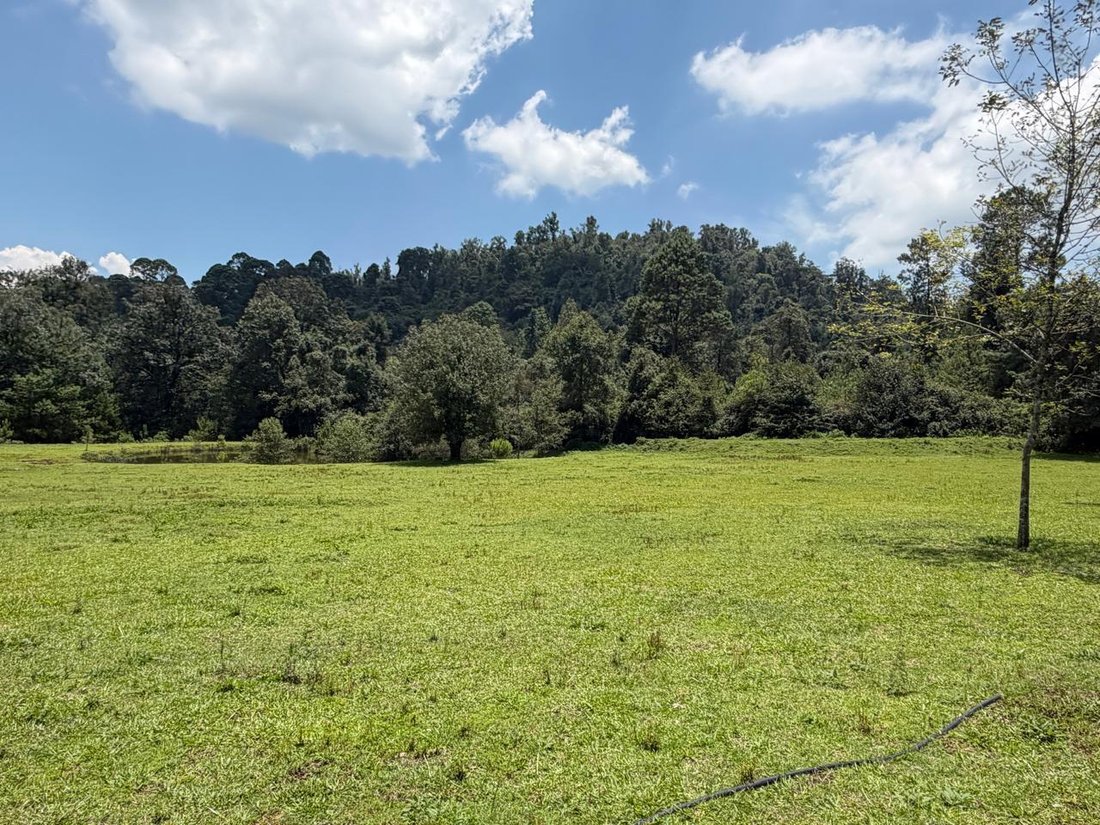 Land in Valle de Bravo, State of Mexico, Mexico 4 - 18672379