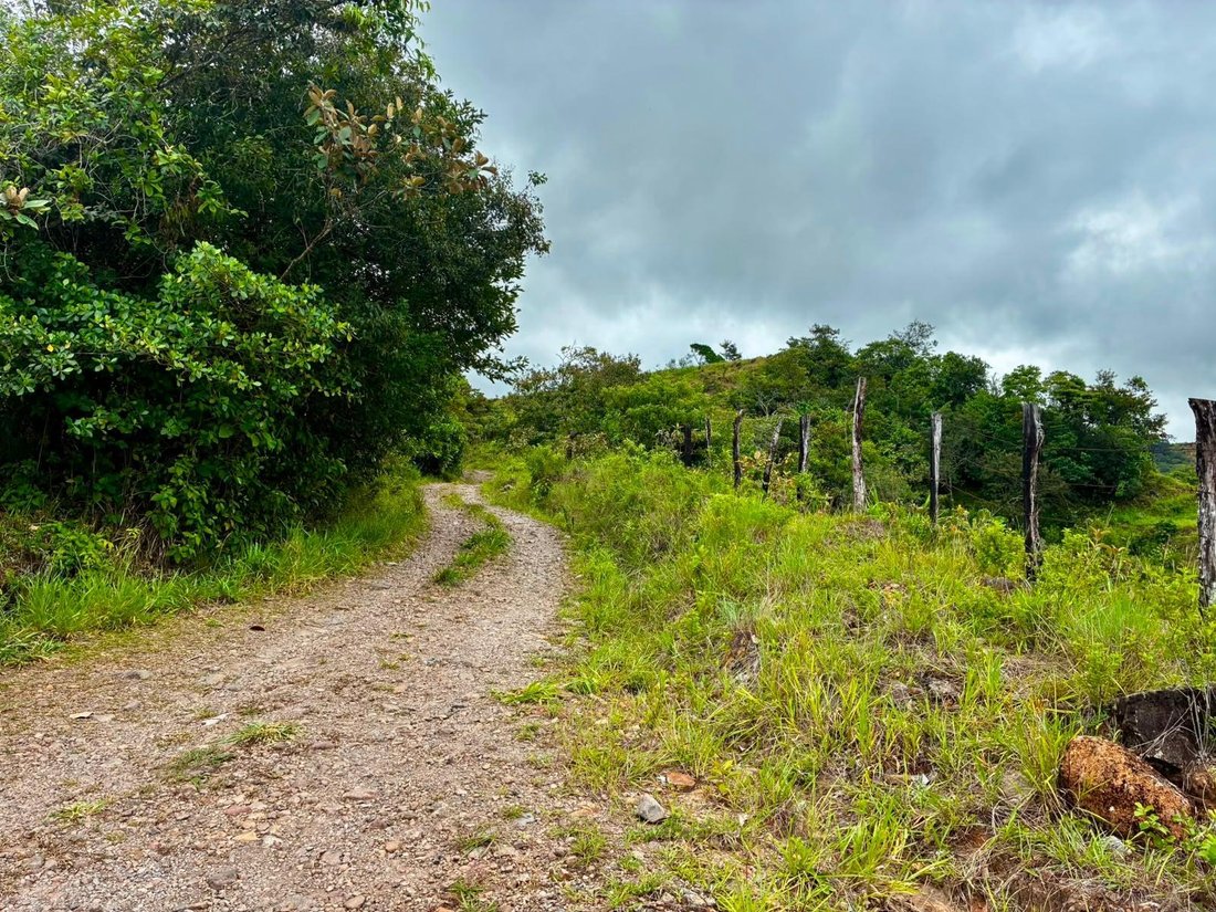 Finca in Caldera, Chiriquí Province, Panama 4 - 18666153