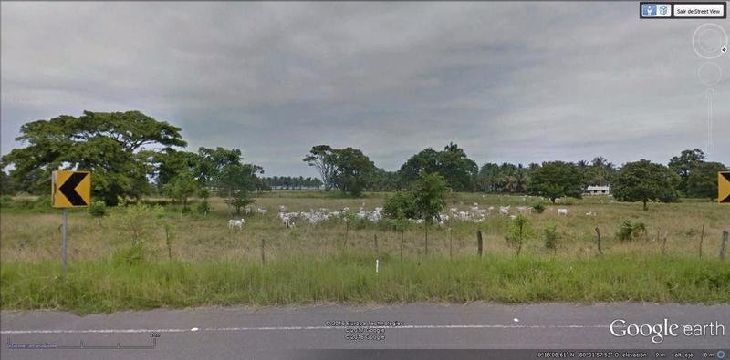 Land in Cojimies, Manabí, Ecuador 5 - 18659991