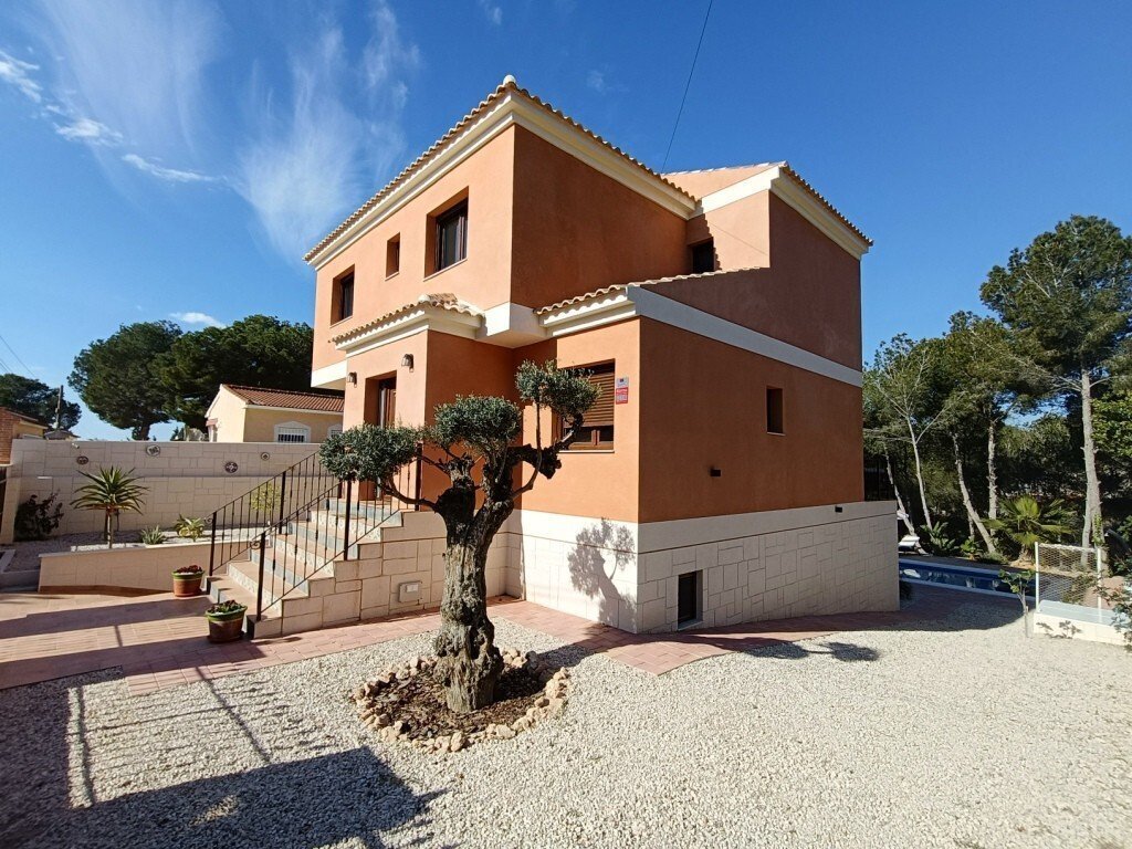 House in Pilar de la Horadada, Valencian Community, Spain 1 - 18669744