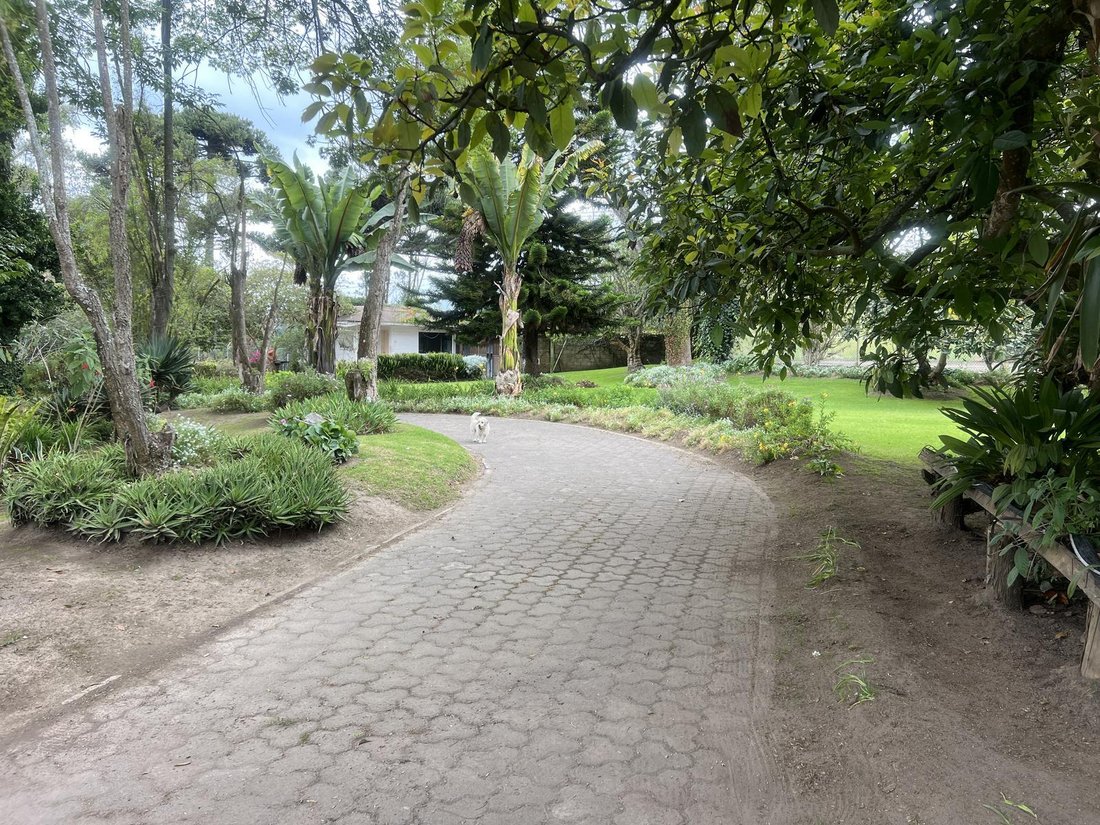 House in Quito, Pichincha, Ecuador 4 - 18661694