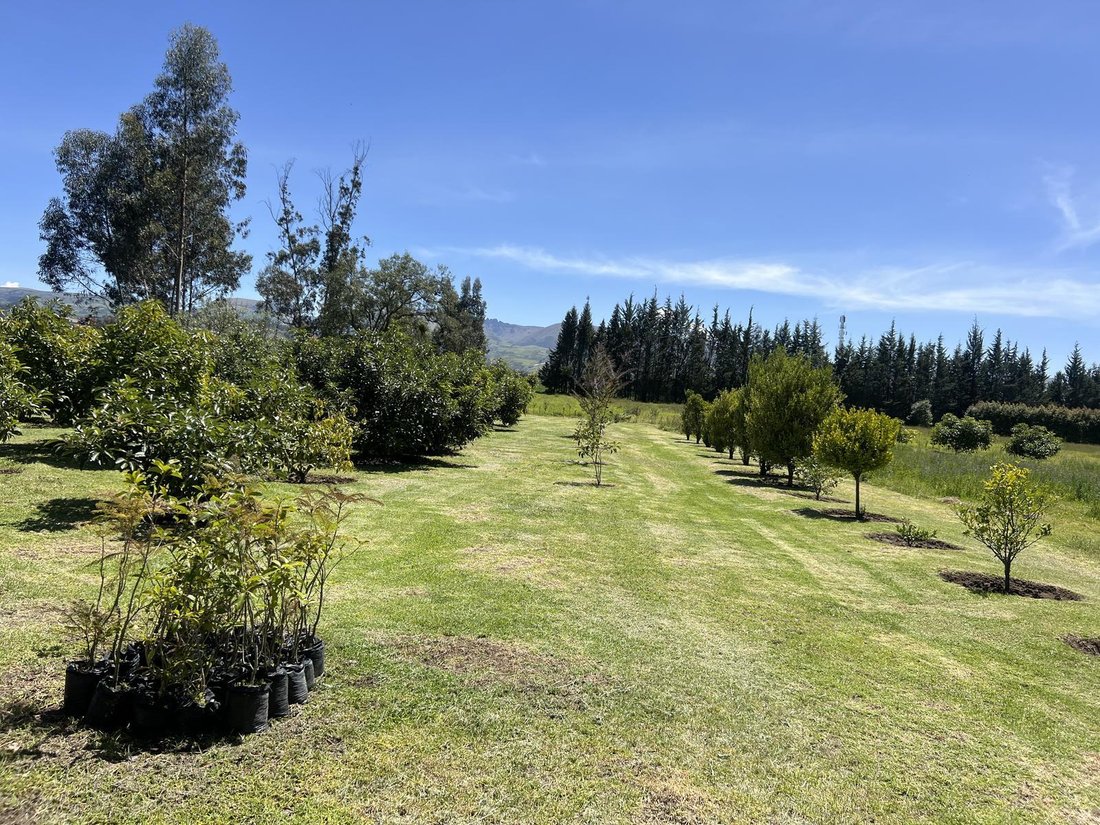 Land in Quito, Pichincha, Ecuador 5 - 18661701
