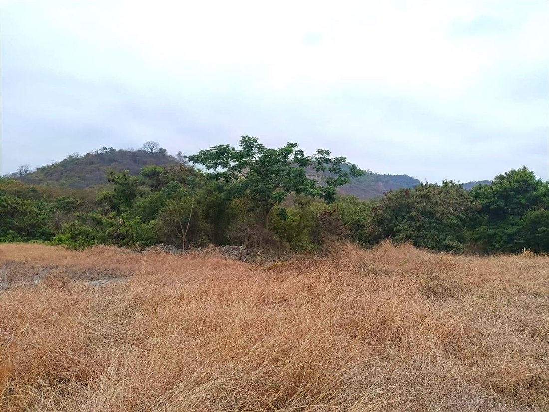 Land in Guayaquil, Guayas, Ecuador 2 - 18660163