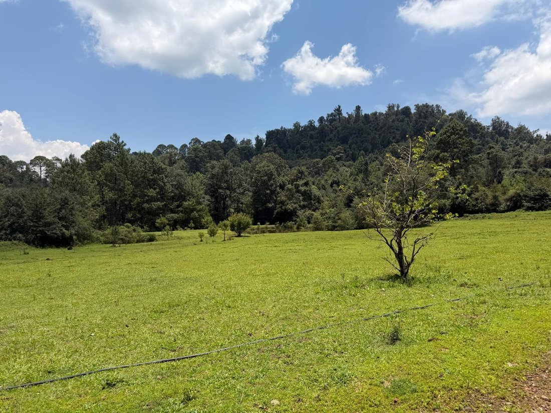 Land in Valle de Bravo, State of Mexico, Mexico 1 - 18672379