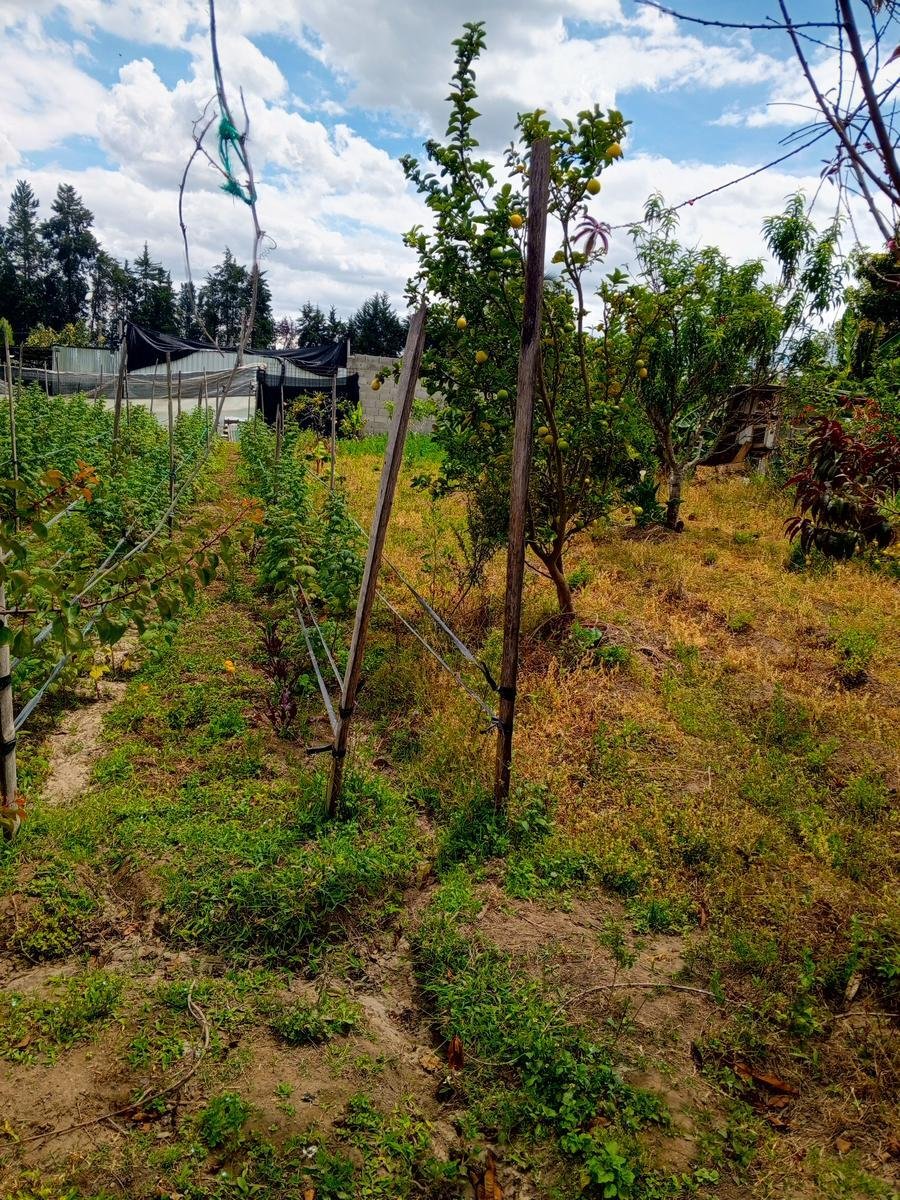 Land in Quito, Pichincha, Ecuador 3 - 18661472