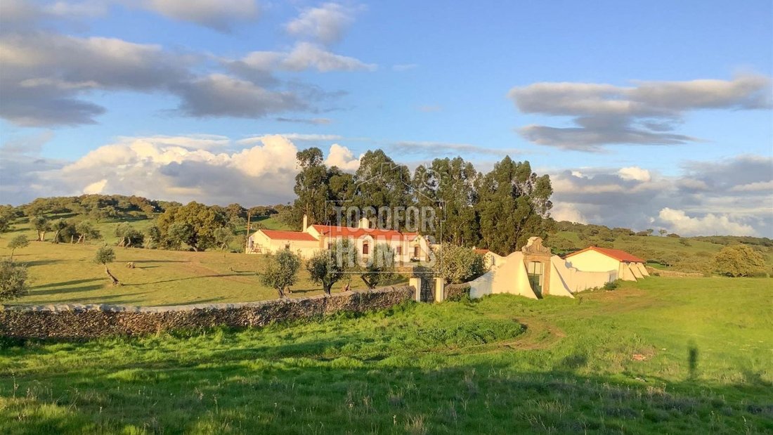 Estate in Crato e Martires, Flor da Rosa e Vale do Peso, Portalegre District, Portugal 1 - 16542462