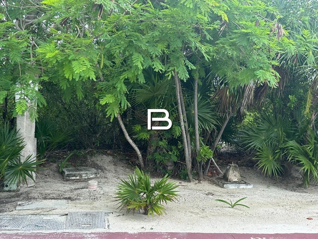 Land in Punta Sam, Quintana Roo, Mexico 2 - 18661559