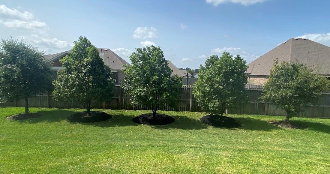 House in Conroe, Texas, United States 2 - 18037091