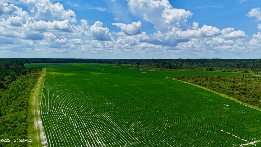Farm Ranch in Alma, Georgia, United States 5 - 18663170