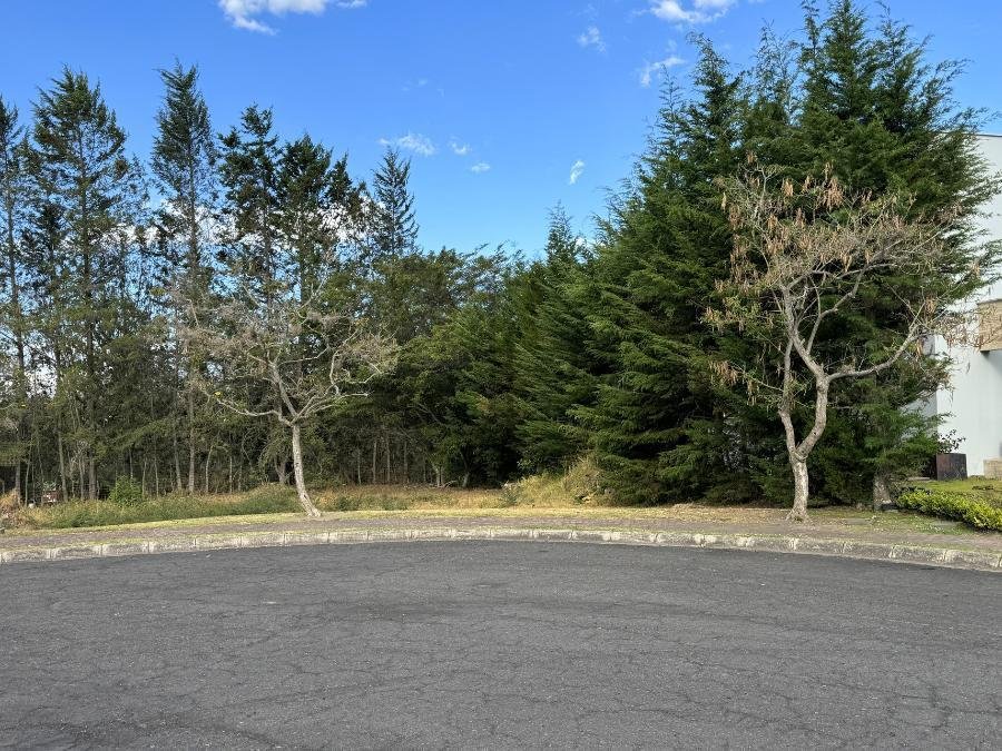 Land in Quito, Pichincha, Ecuador 2 - 18661156