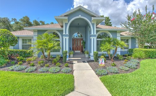House in Valrico, Florida, United States 1