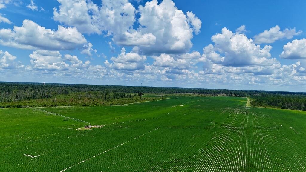 Land in Alma, Georgia, United States 1 - 18663149