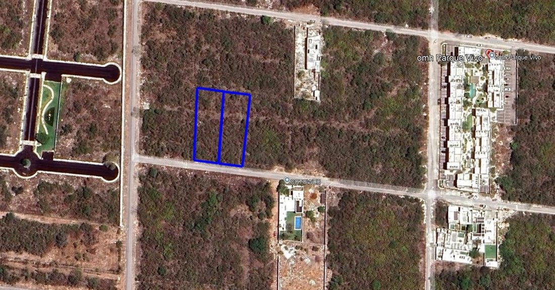 Land in Mérida, Yucatan, Mexico 1 - 18668190