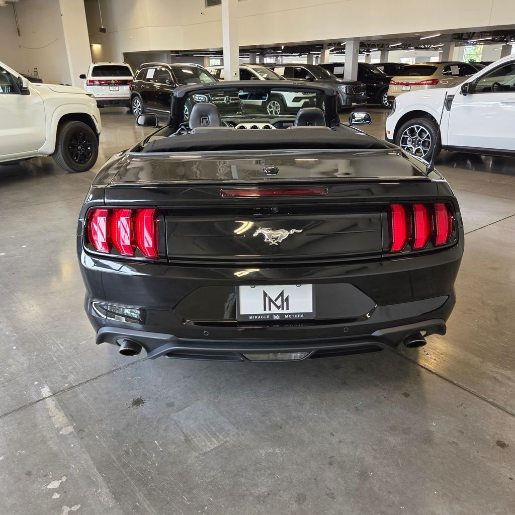 Cabriolet in Chandler, AZ, United States 4 - 18666679