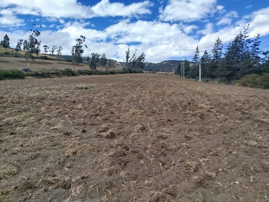 Land in Pambamarca, Pichincha, Ecuador 2 - 18661533