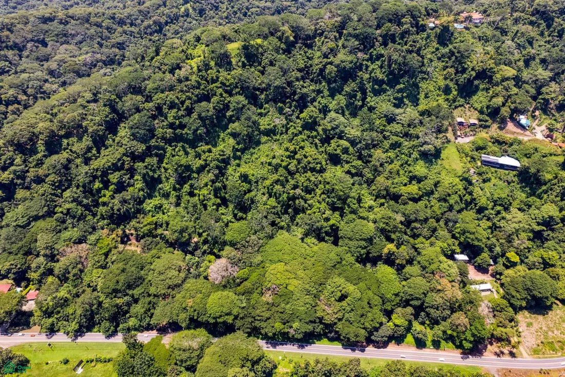 Land in Savegre de Aguirre, Puntarenas Province, Costa Rica 3 - 18665819